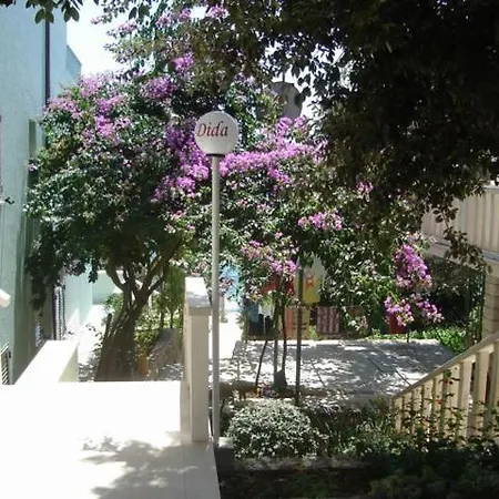 Beachfront Dida - *